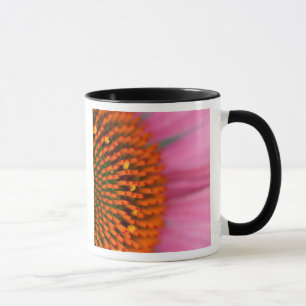 Close-up of a Cone Flower in the summertime, Mug