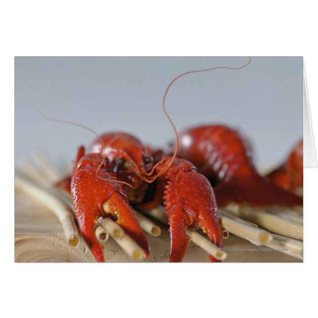 Close-up of a crab on sticks (Front Horizontal)