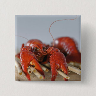 Close-up of a crab on sticks 15 cm square badge