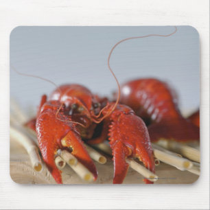 Close-up of a crab on sticks mouse pad