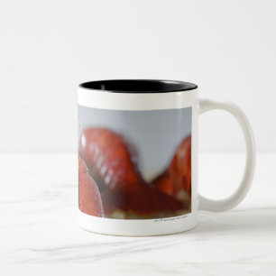 Close-up of a crab on sticks Two-Tone coffee mug