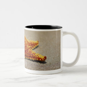 Close-up of a Cushion Starfish Two-Tone Coffee Mug