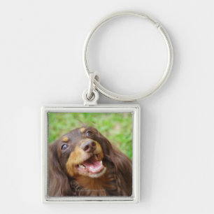 Close-up of a Dachshund dog Key Ring