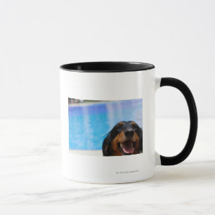 Close-up of a Dachshund dog panting Mug