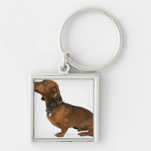 Close up of a dachshund key ring