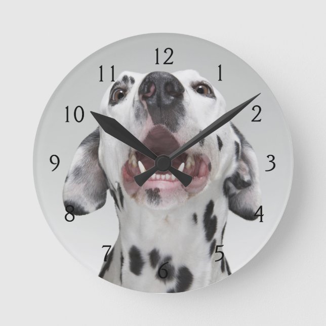 Close up of a Dalmatian dog Round Clock (Front)