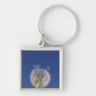 Close-up of a dandelion key ring