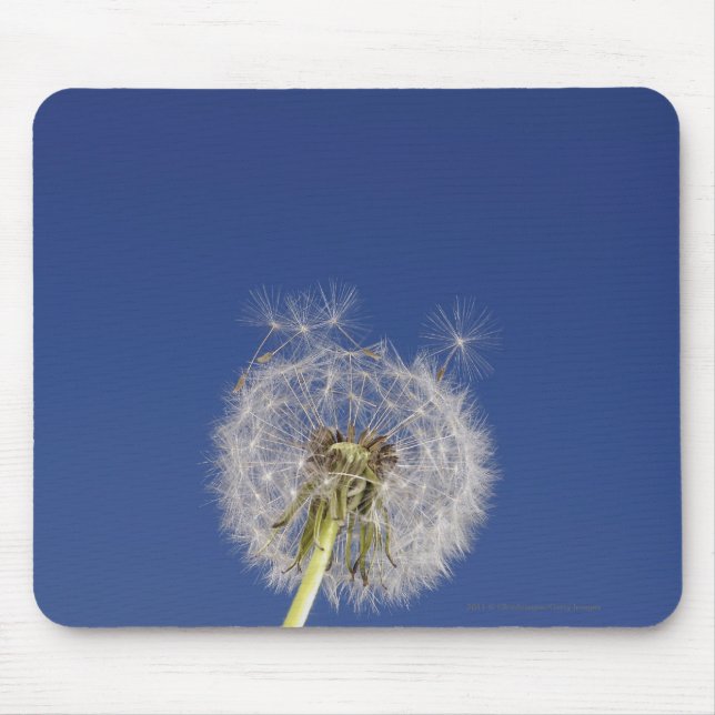 Close-up of a dandelion mouse pad (Front)