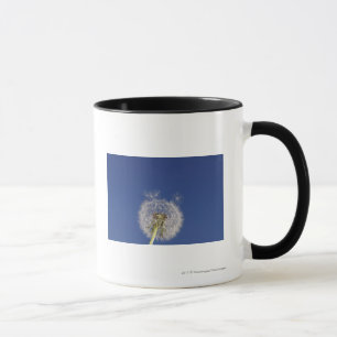 Close-up of a dandelion mug