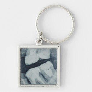 Close-up of a dental X-Ray Key Ring
