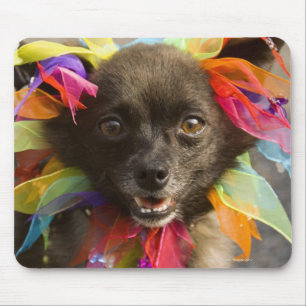 Close-up of a dog 2 mouse pad