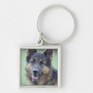 close-up of a dog face key ring