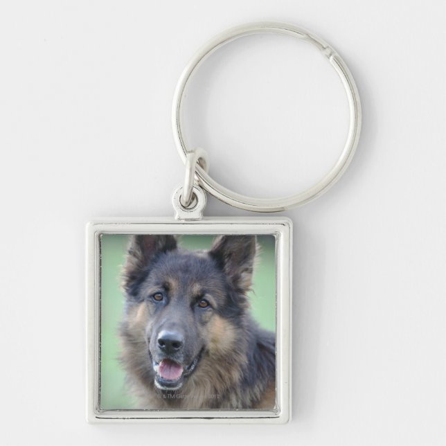 close-up of a dog face key ring (Front)