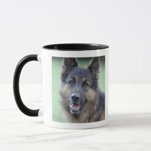 close-up of a dog face mug