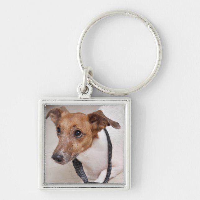 Close-up of a dog putting on a tie key ring (Front)