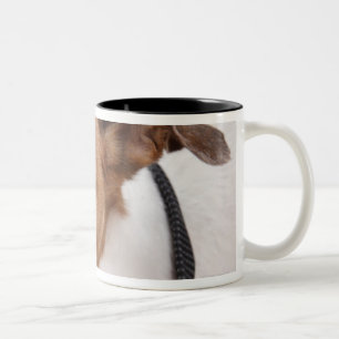 Close-up of a dog putting on a tie Two-Tone coffee mug