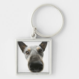 Close-up of a dog's head key ring