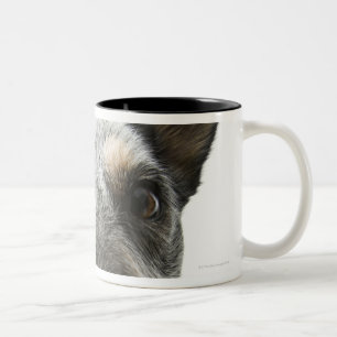 Close-up of a dog's head Two-Tone coffee mug