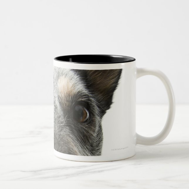 Close-up of a dog's head Two-Tone coffee mug (Right)