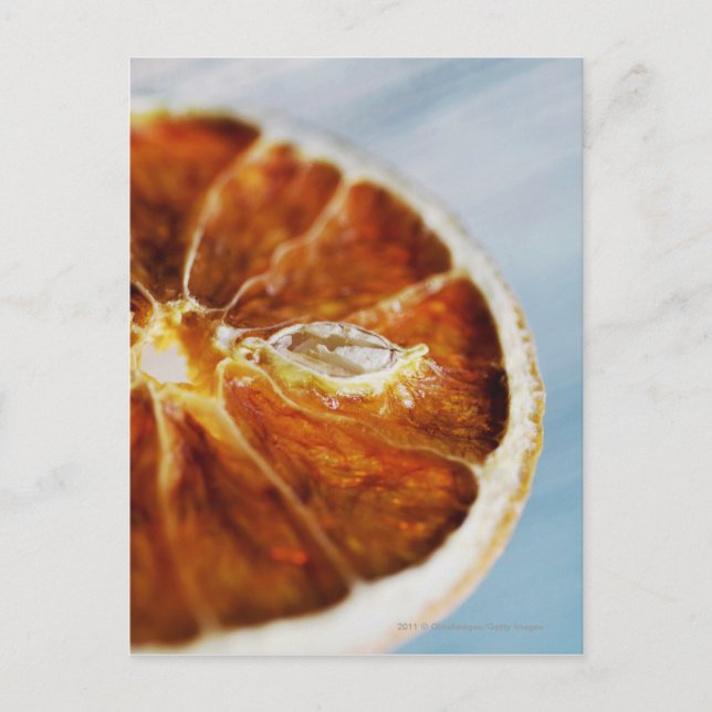 Close-up of a dried slice of lemon postcard (Front)
