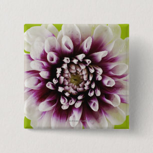 Close-up of a flower 2 15 cm square badge