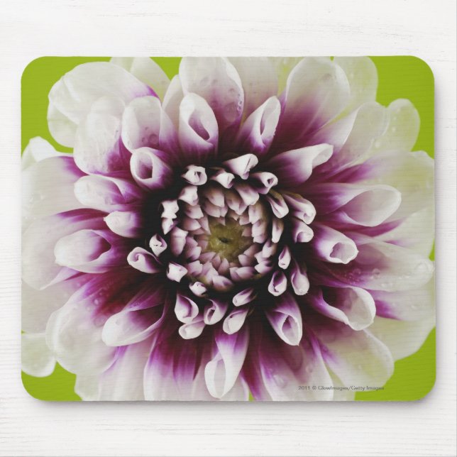 Close-up of a flower 2 mouse pad (Front)