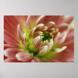 Close-up of a flower 2 poster