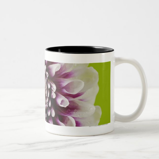 Close-up of a flower 2 Two-Tone coffee mug (Right)