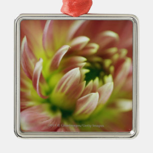 Close-up of a flower metal ornament