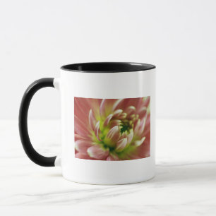 Close-up of a flower mug