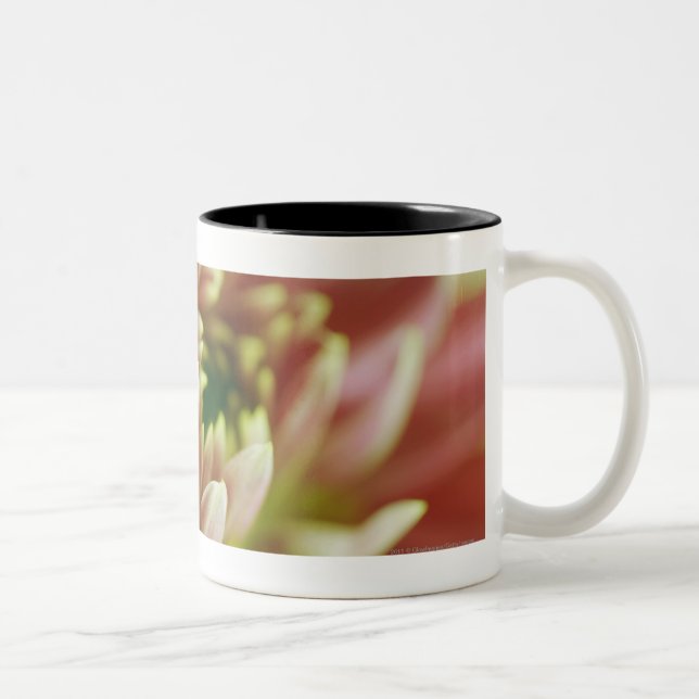 Close-up of a flower Two-Tone coffee mug (Right)