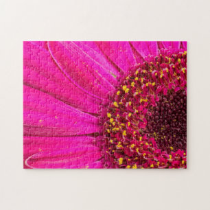 Close-up of a Gerber daisy Jigsaw Puzzle