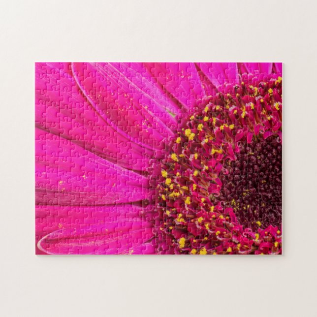 Close-up of a Gerber daisy Jigsaw Puzzle (Horizontal)