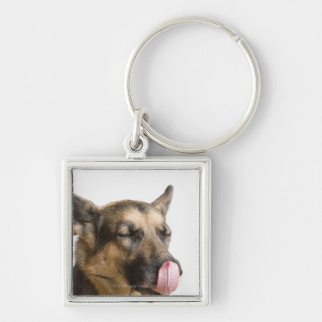 Close-up of a German Shepherd licking its nose Key Ring (Front)