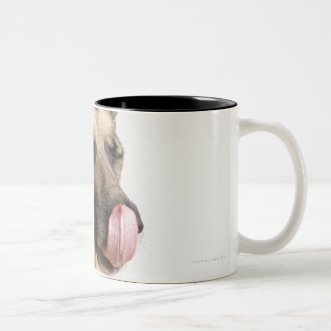 Close-up of a German Shepherd licking its nose Two-Tone Coffee Mug (Right)