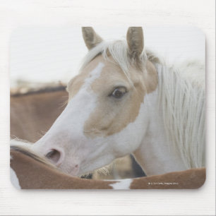 Close up of a herd of horses 2 mouse pad