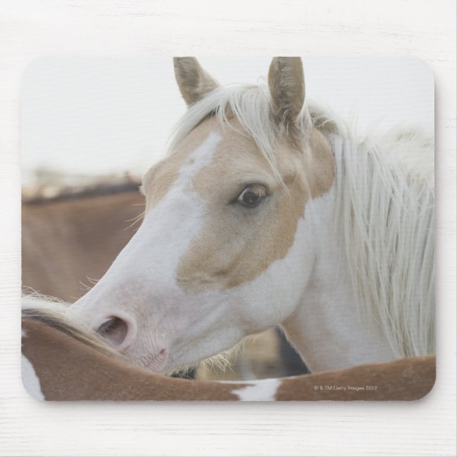 Close up of a herd of horses 2 mouse pad (Front)