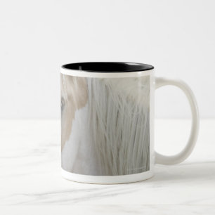 Close up of a herd of horses 2 Two-Tone coffee mug