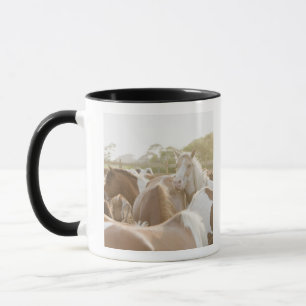 Close up of a herd of horses mug