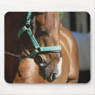 Close-up of a horse 4 mouse pad