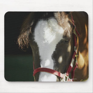 Close-up of a horse mouse pad