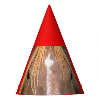 close-up of a horse on party hat