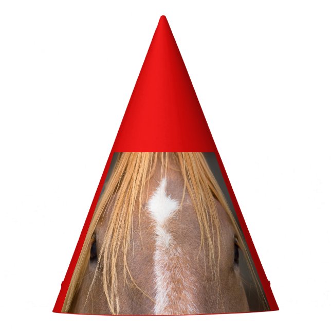 close-up of a horse on party hat (Front)