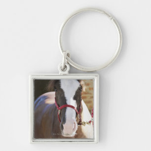 Close-up of a horse tied in a stable key ring