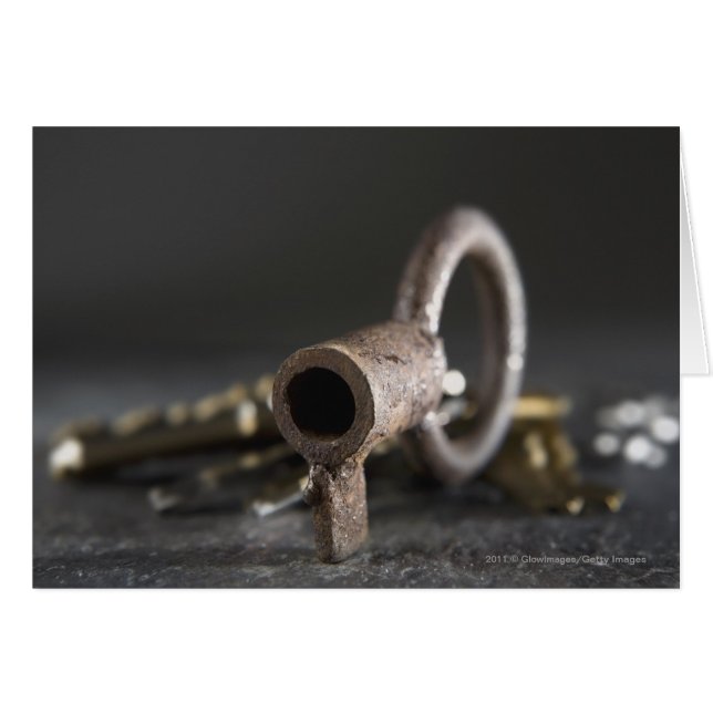 Close-up of a key in a key ring (Front Horizontal)