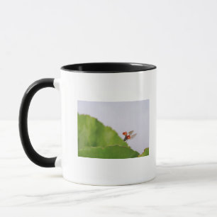 Close-up of a ladybug flying over a leaf mug