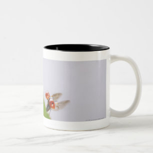 Close-up of a ladybug flying over a leaf Two-Tone coffee mug