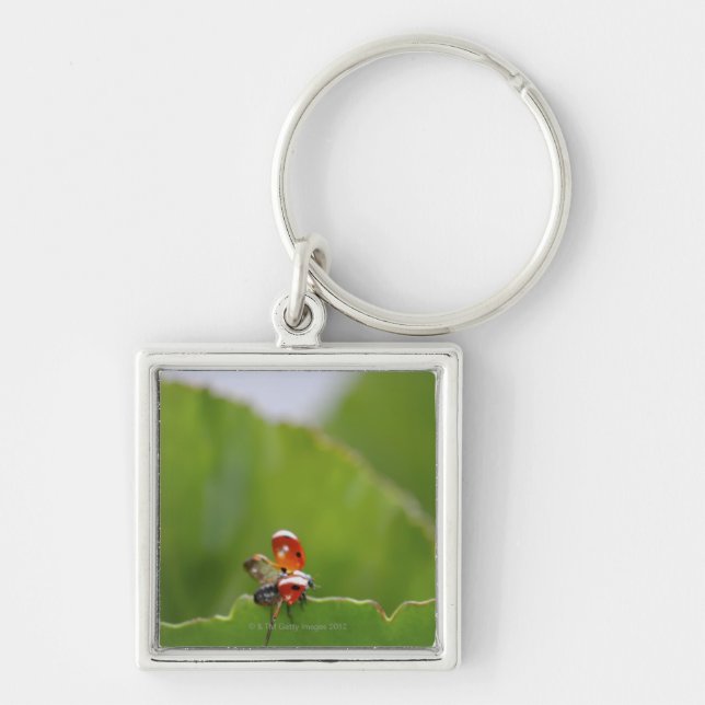 Close-up of a ladybug on a leaf key ring (Front)