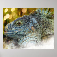 Close Up of a Large Scalygreen  Iguana Lizard
