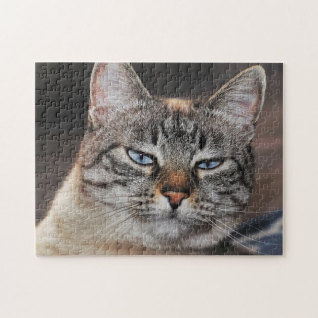 Close up of a Lynx Pointed Cat with Blue Eyes Jigsaw Puzzle (Horizontal)